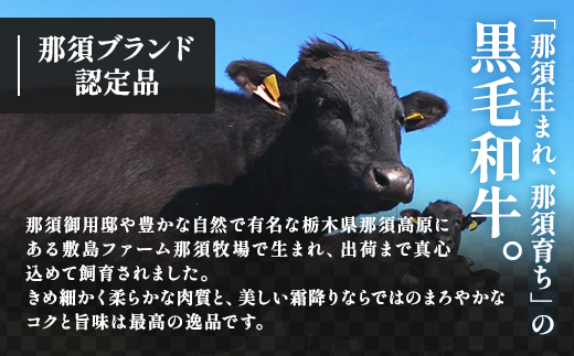 那須高原 敷島和牛手作りハンバーグ（150g×5個）計750g 小分け ハンバーグ 肉 お肉 牛肉 国産 黒毛和牛 冷凍 栃木県 那須町《敷島ファーム》〔B-82〕 ※着日指定不可 ※北海道・沖縄・離島への配送不可