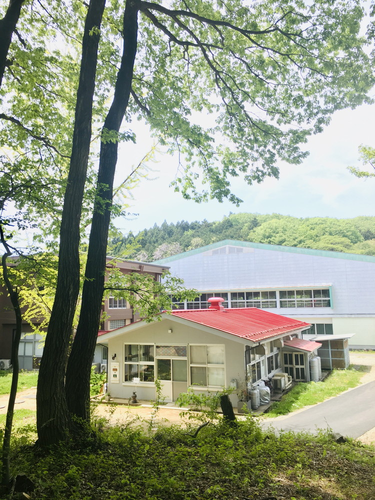 天然酵母パンセット ｜ パン スコーン ベーグル マフィン 天然酵母 乳製品不使用 卵不使用 那須町 栃木県 〔P-349〕