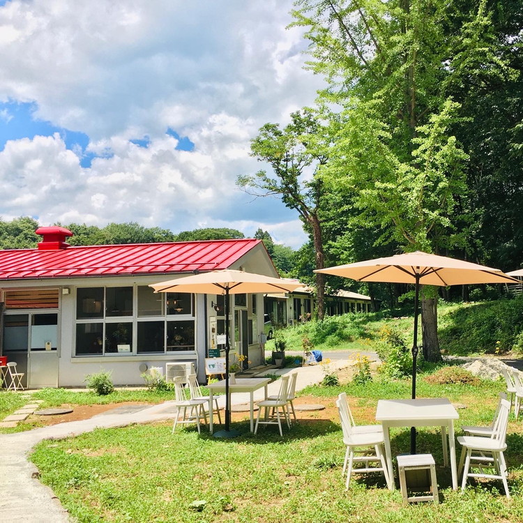 天然酵母パンセット ｜ パン スコーン ベーグル マフィン 天然酵母 乳製品不使用 卵不使用 那須町 栃木県 〔P-349〕