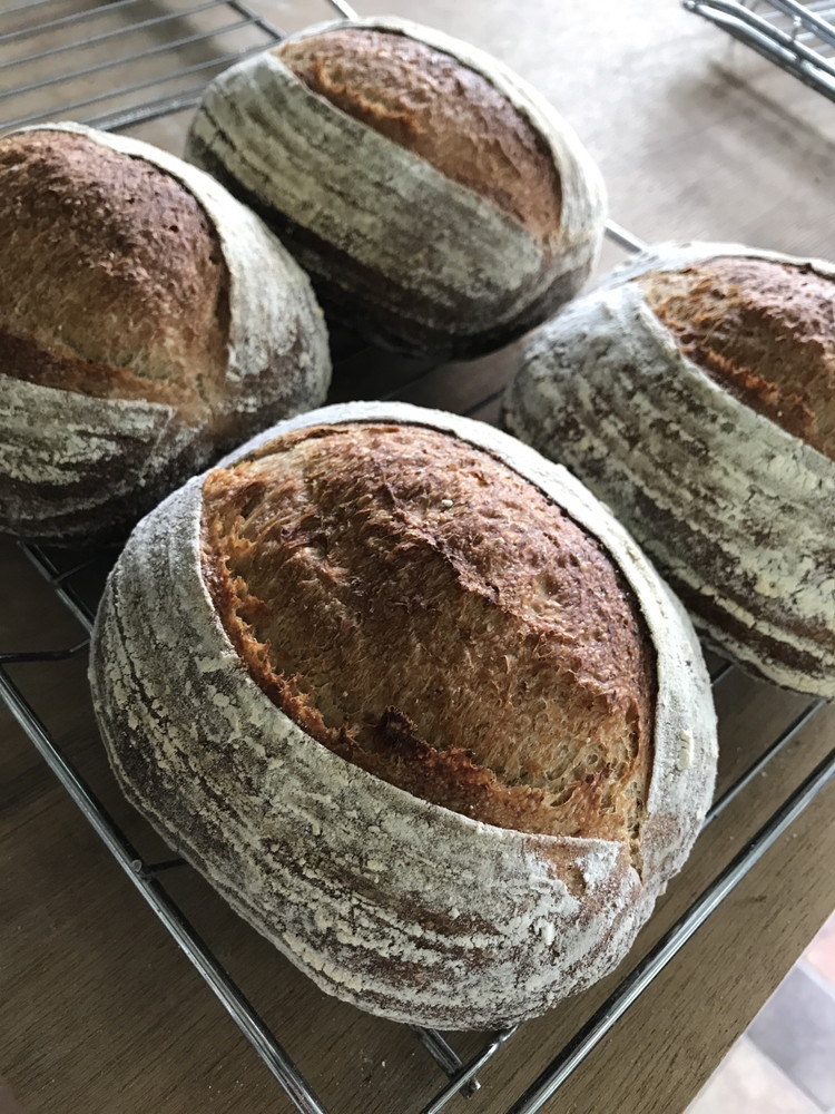 天然酵母パンセット ｜ パン スコーン ベーグル マフィン 天然酵母 乳製品不使用 卵不使用 那須町 栃木県 〔P-349〕