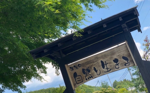 りんごジュース 1L×2本〔P-231〕｜りんご 林檎 リンゴ おいしい スイーツ セット 那須 大野りんご園 栃木県 那須町