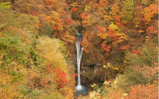 那須平成の森 プログラム 3,000円分利用券 ｜ 体験 遊び チケット 自然 金券 国内 那須 栃木県 那須町〔B-110〕