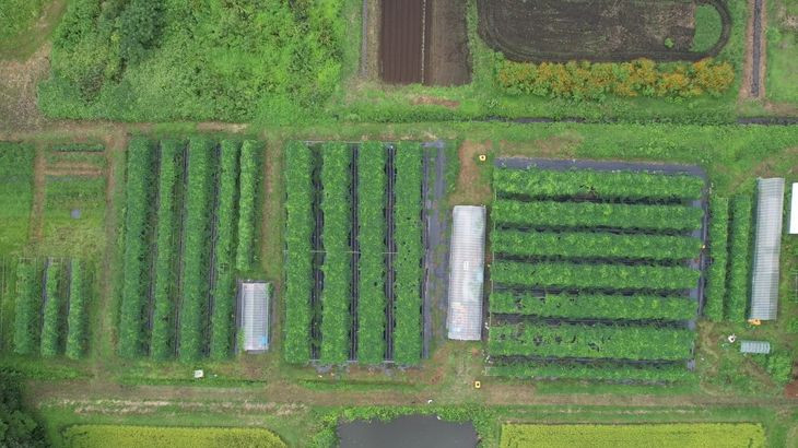 ã ã¯ãè±ãã¯ãããŠããŒã詊ãã»ãã ãB-83ã