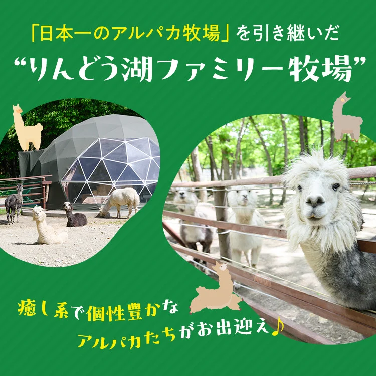 【泊まれる牧場】那須高原りんどう湖ファミリー牧場 日本初・アルパカと泊まれる グランピング 15,000円分利用券｜宿泊 旅行 レジャー アウトドア BBQ 国内 那須 栃木県 那須町〔E-46〕