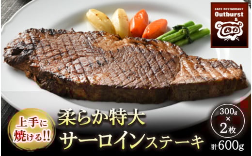 上手に焼ける！！柔らか特大サーロインステーキ 300g×2枚 計600g ｜ 国産 牛肉 肉 お肉 ステーキ 冷凍 栃木県 那須町 〔P-137〕