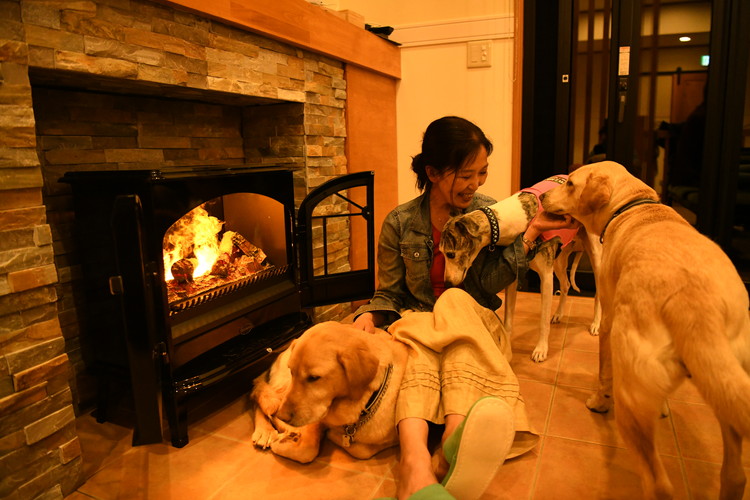 DOG LOVE`S VILLA Leaf 3,000åå©çšåž ïœ ãã±ãã æ
è¡ æ
è¡åž å©çšåž 芳å
ããã é£é æ æšç é£é çºãB-133ã