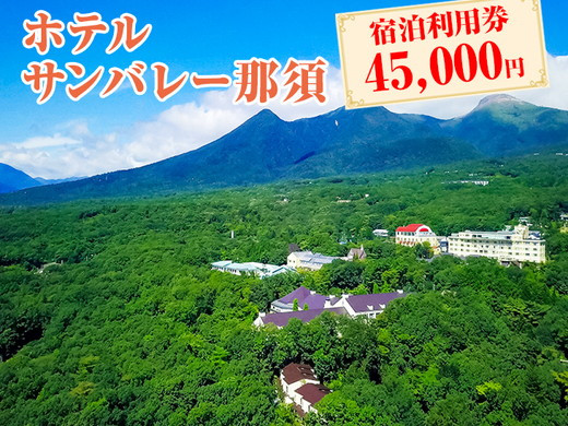 ホテルサンバレー那須 宿泊利用券 45,000円分｜宿泊 旅行 チケット 宿泊券 旅行券 旅 リラックス ファミリー 温泉 露天風呂 国内旅行 那須 栃木県 那須町〔H-13〕 ※着日指定不可