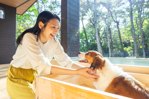 蝗帛ュ」縺ョ螳ソ 縺薙h縺ソ 螳ソ豕雁茜逕ィ蛻ク 15,000蜀ス懷ョソ豕 譌陦 繝√こ繝繝 螳ソ豕雁虻 譌陦悟虻 隕ウ蜈 蝗ス蜀譌陦 驍」鬆 譬譛ィ逵 驍」鬆育伴縲忍-39縲