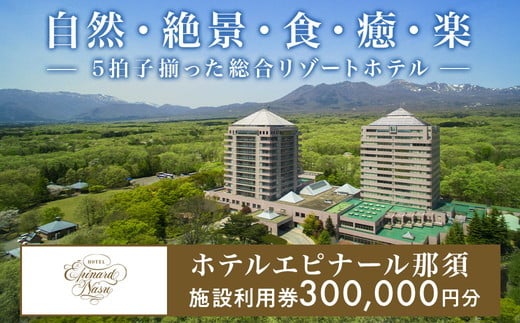 ホテルエピナール那須施設利用券(300,000円分) ｜ 温泉 露天風呂 宿泊 旅行 チケット 宿泊券 宿泊ギフト券 利用券 観光 リゾートホテル アクティビティ 栃木県 那須町〔P-178〕 ※着日指定不可