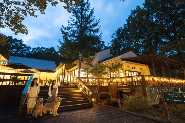 ããã« ãã©ã¬ã¹ããã«ãºé£é 3,000åå©çšåž ïœ ãã±ãã æ
è¡ æ
è¡åž å©çšåž 芳å
ããã é£é æ æšç é£é çºãB-132ã