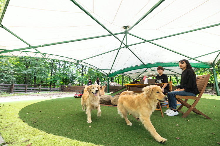 ããã« ãã©ã¬ã¹ããã«ãºé£é 3,000åå©çšåž ïœ ãã±ãã æ
è¡ æ
è¡åž å©çšåž 芳å
ããã é£é æ æšç é£é çºãB-132ã