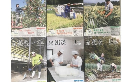 ふるさと那須町からの定期便「広報那須」1年分〔A-5〕