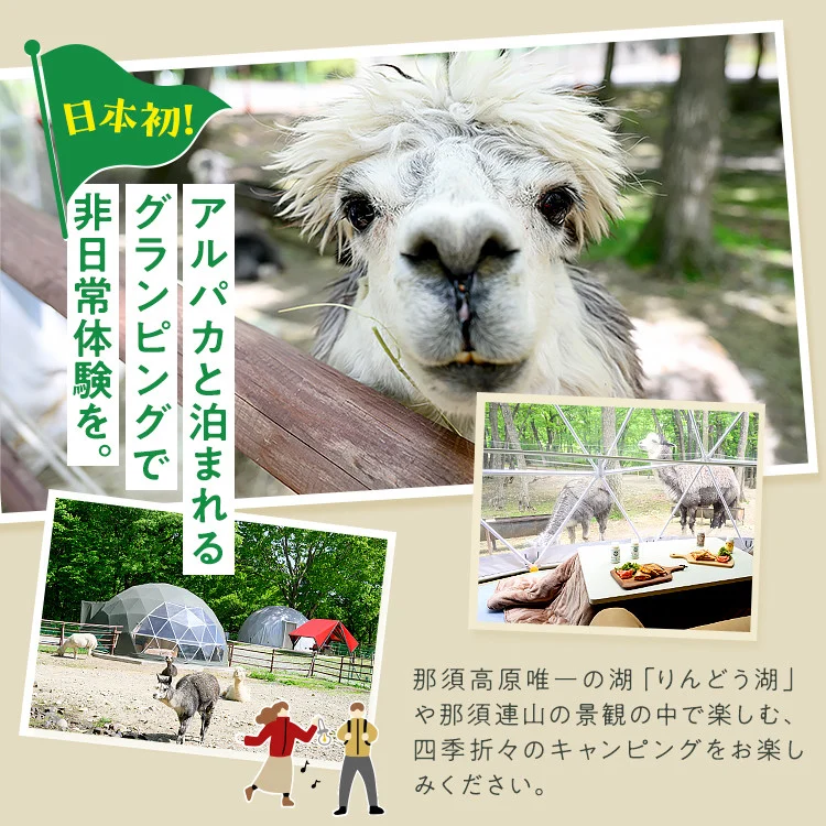 【泊まれる牧場】那須高原りんどう湖ファミリー牧場 日本初・アルパカと泊まれる グランピング 15,000円分利用券｜宿泊 旅行 レジャー アウトドア BBQ 国内 那須 栃木県 那須町〔E-46〕