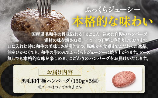 那須高原 敷島和牛手作りハンバーグ（150g×5個）計750g 小分け ハンバーグ 肉 お肉 牛肉 国産 黒毛和牛 冷凍 栃木県 那須町《敷島ファーム》〔B-82〕 ※着日指定不可 ※北海道・沖縄・離島への配送不可