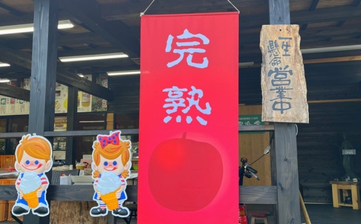 りんごジュース 1L×2本〔P-231〕｜りんご 林檎 リンゴ おいしい スイーツ セット 那須 大野りんご園 栃木県 那須町