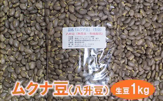 ムクナ豆（八升豆）生豆1kg 〔D-47〕