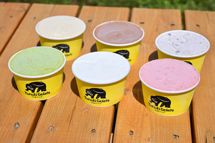 那須町産米粉から生まれたクラフトジェラート『たぬジェラ』6個セット〔B-127〕 | 栃木県 那須町 ジェラート アイス 氷菓 ※沖縄・離島への配送不可