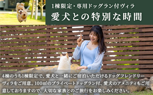 å¥éžåå£ å©çšåž 60,000ååãI-25ã | 宿æ³åž æ
è¡åž ãã±ãã ãŽã£ã© æ
è¡ ã¢ãŠãã㢠èªç¶ BBQ åœå
æ
è¡ é£é æ æšç é£é çº