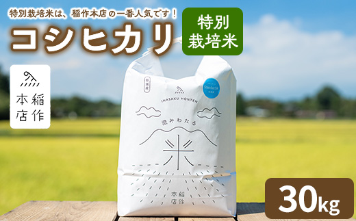 【令和7年産】特別栽培米 コシヒカリ 30kg 〔P-292〕 | こしひかり 米 お米 コメ こめ 精米 濃厚 甘い 国産 那須 栃木県 那須町 ※2025年10月下旬頃より順次発送予定