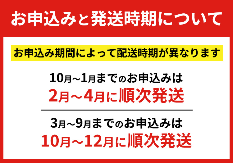 行者にんにく 苗根 40本（4年～5年物） ｜ にんにく ニンニク ガーリック 家庭菜園 栽培 野菜苗 野菜 薬味 料理 産地直送 那須 栃木県 那須町〔C-79〕