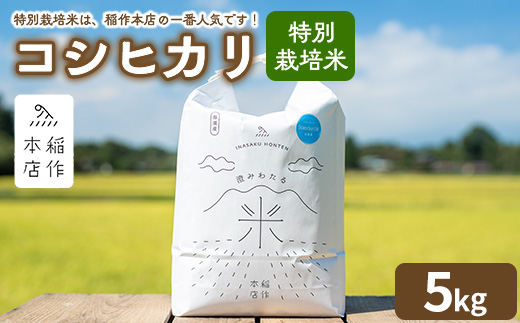 【令和7年産】特別栽培米 コシヒカリ 5kg 〔P-288〕 | こしひかり 米 お米 コメ こめ 精米 濃厚 甘い 国産 那須 栃木県 那須町 ※2025年10月下旬頃より順次発送予定