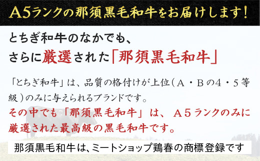 【冷凍】那須黒毛和牛ステーキ用A5 〔E-3〕| 牛肉 国産 赤身 那須和牛 黒毛和牛 那須黒毛和牛 とちぎ和牛 栃木和牛 ブランド牛 A5 すき焼き しゃぶしゃぶ 焼肉 ステーキ 夜ご飯 夜ごはん 晩ご飯 晩ごはん お取り寄せグルメ お中元 御中元 お歳暮 贈答 贈り物 ギフト プレゼント 母の日 父の日 敬老の日 記念日 誕生日 お祝い 定期便 栃木県 那須町