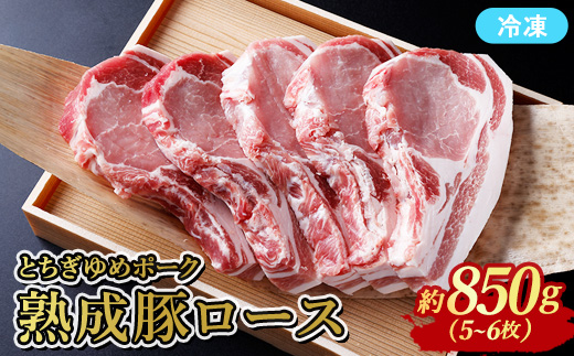 ≪鶏春≫ とちぎゆめポーク　熟成豚ロース 850g （5～6枚） ドライエイジング ｜ 熟成肉 豚肉ソテーとんかつミートショップ鶏春 栃木県 那須町 那須〔P-368〕