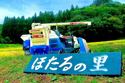 ç¹å¥æ œå¹ã®ããã²ãããæšªå²¡ç±³ãé£é ãã©ã³ãèªå®å äžçœç±³ 3kg ãP-405ã | ç±³ 粟米 æžèŸ²è¬ ã³ã¡ é£é çº æ æšç â»é¢å³¶ãžã®é
éäžå¯