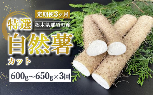 【定期便3ヵ月】那須町産 自然薯（カット）600g～650g ｜とろろ 贈り物 お土産 グルメ 美味しい おいしい 食べ物 那須 栃木県 那須町〔P-213〕 ※2025年12月頃より順次発送予定