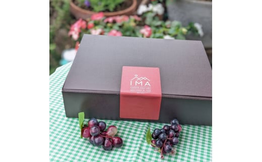 今牧場の人気チーズ詰め合わせセット（ゆきやなぎ、りんどう、茶臼岳、みのり） ｜ チーズ 食べ比べ セット おつまみ 晩酌 乳製品 那須 栃木県 那須町〔P-264〕