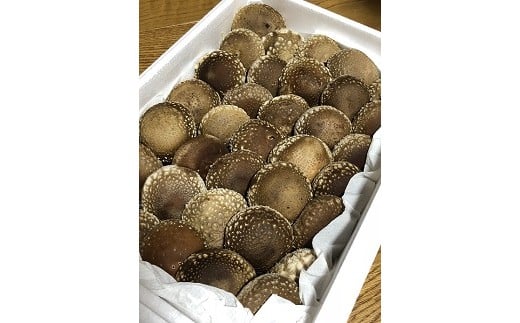 生しいたけ〔B-25〕≪シイタケ 椎茸 きのこ 野菜 ≫
