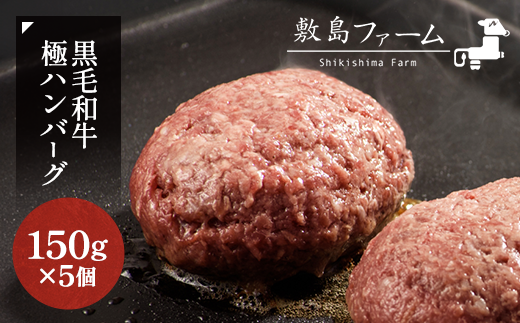 那須高原 敷島和牛手作りハンバーグ（150g×5個）計750g 小分け ハンバーグ 肉 お肉 牛肉 国産 黒毛和牛 冷凍 栃木県 那須町《敷島ファーム》〔B-82〕 ※着日指定不可 ※北海道・沖縄・離島への配送不可