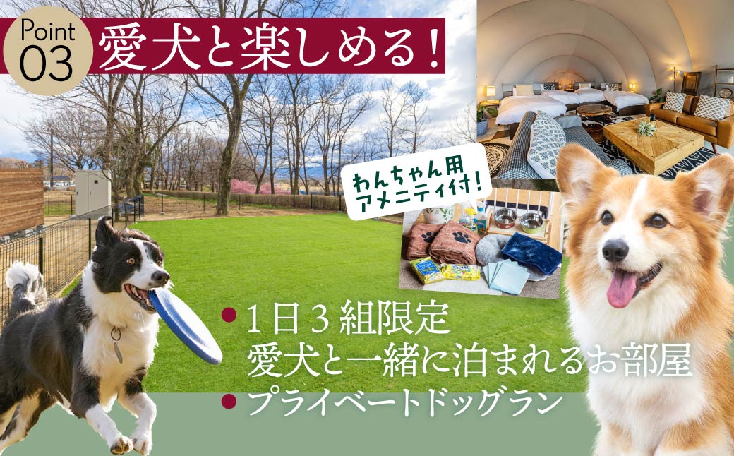 AKAGI GLAMPING VILLAGE　宿泊補助クーポン券【30,000円分】|  宿泊補助券 宿泊 グランピング 温泉 クーポン券 補助券 群馬県 前橋市