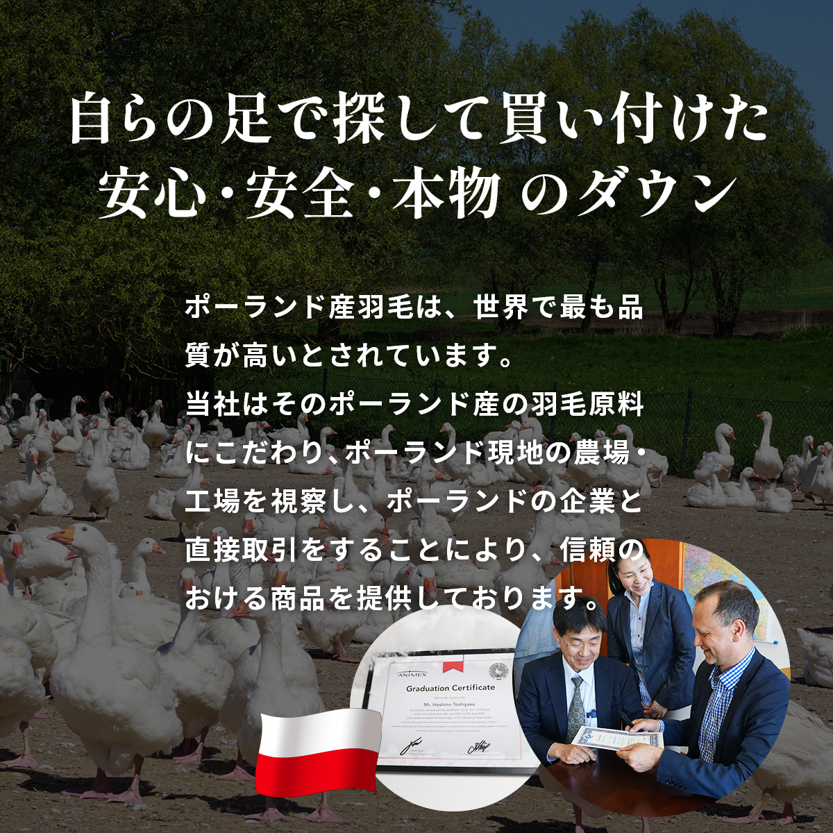 羽毛ふとん ポーランドダックダウン85％ クイーン | 寝具 布団 ふとん 羽毛布団 羽毛 綿 綿生地 ダックダウン ダウン ポーランド産 ポーランドダックダウン 手作り布団 日本製布団 日本製 手作り ふかふか布団 職人仕立て 軽い シングルロング ダウンケット 群馬県 前橋市