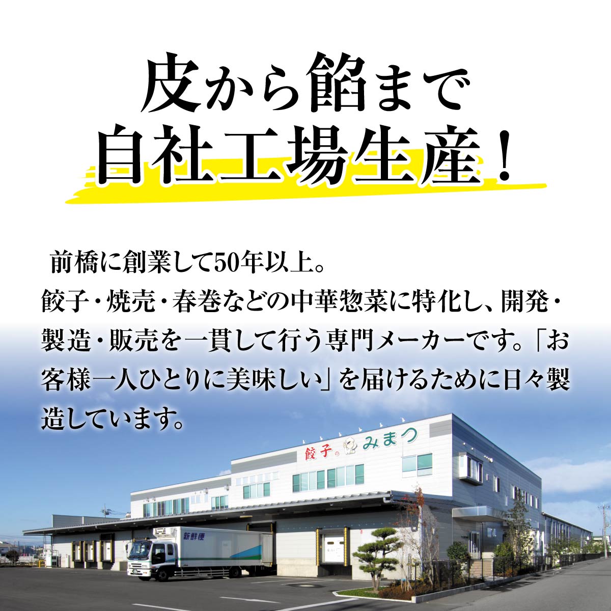 餃子 訳あり  6ヶ月定期便 100個セット 50個×2袋 | 物価高 家計応援 餃子 冷凍 焼くだけ 大容量 人気 レンチン チャック付袋 ストック おいしい 国産 餃子 子ども 豚肉 鶏肉 あっさり 家族 ビール つまみ おかず 弁当 惣菜 中華 ぎょうざ みまつ食品 餃子工房RON 群馬県 前橋市