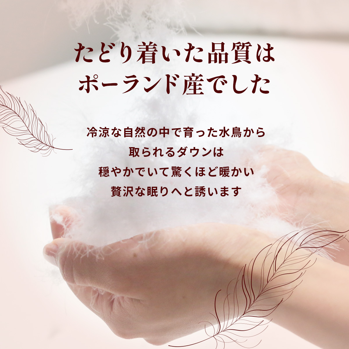 鄒ス豈帙オ縺ィ繧 繝昴シ繝ゥ繝ウ繝峨ム繝繧ッ繝繧ヲ繝ウ85シ 繧キ繝ウ繧ー繝ォ | 蟇晏キ 蟶蝗」 縺オ縺ィ繧 鄒ス豈帛ク蝗」 鄒ス豈 邯ソ 邯ソ逕溷慍 繝繝繧ッ繝繧ヲ繝ウ 繝繧ヲ繝ウ 繝昴シ繝ゥ繝ウ繝臥肇 繝昴シ繝ゥ繝ウ繝峨ム繝繧ッ繝繧ヲ繝ウ 謇倶ス懊j蟶蝗」 譌・譛ャ陬ス蟶蝗」 譌・譛ャ陬ス 謇倶ス懊j 縺オ縺九オ縺句ク蝗」 閨キ莠コ莉慕ォ九※ 霆ス縺 繧キ繝ウ繧ー繝ォ繝ュ繝ウ繧ー 繝繧ヲ繝ウ繧ア繝繝 鄒、鬥ャ逵 蜑肴ゥ句ク