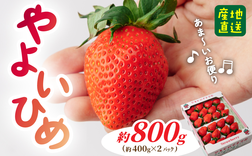 やよいひめ DX 約400g ×2パック（箱入り）800g