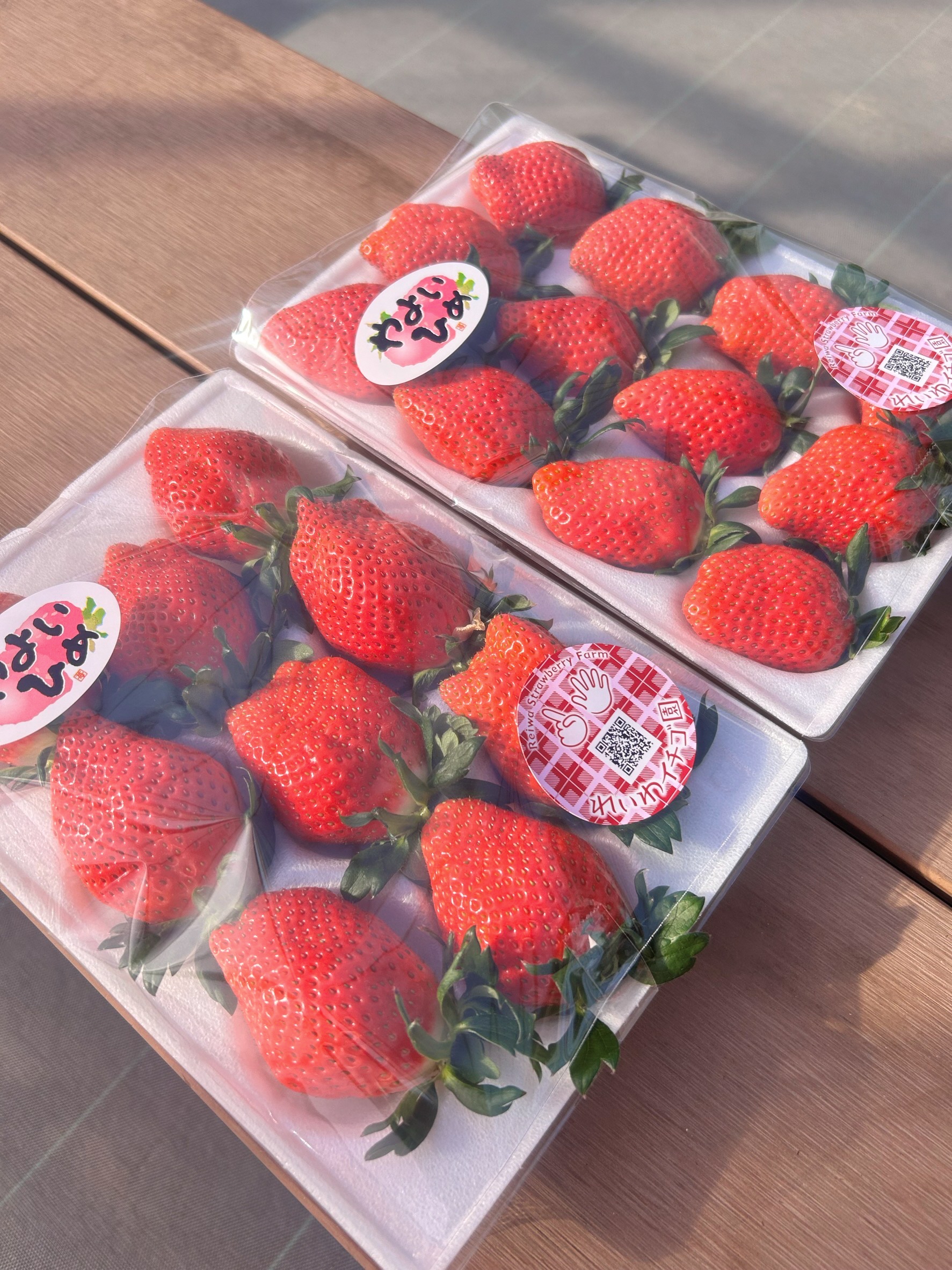 R3-13　「やよいひめ」贈答用いちご８００ｇ｜朝採れ やよいひめ たっぷり 贈答用 新鮮 特大 完熟 いちご 旬 苺 ストロベリー 高級 産地直送 果汁 甘い あまい 人気 高評価 減農薬 有機肥料 生産 生産量 産地 王国 高糖度 エコファーマー ごほうび プレゼント 群馬県 前橋市 