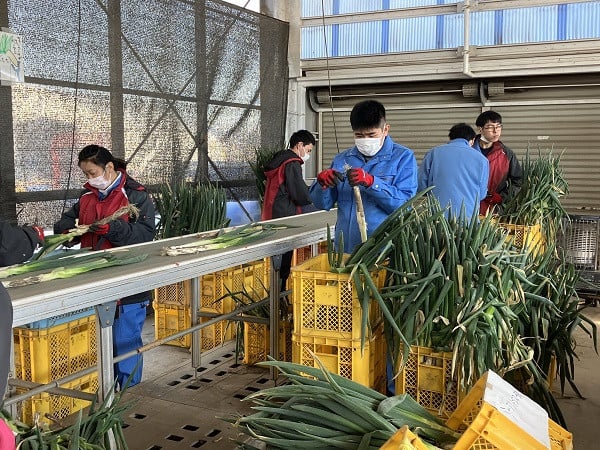 糀の甘酒 自然栽培亀ノ尾【思いやり型返礼品】
