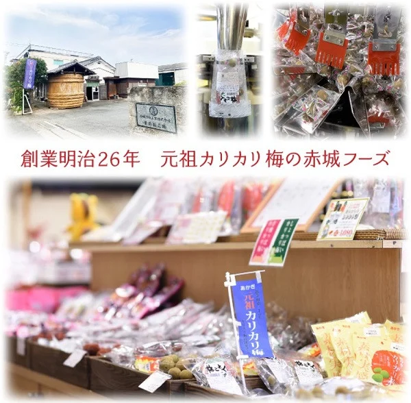 群馬県産の梅にこだわった逸品「ぐんまの甘梅」  | 梅 うめ カリカリ梅 青梅 国産 おやつ おつまみ 駄菓子 甘酸っぱい 個包装 前橋市 群馬県