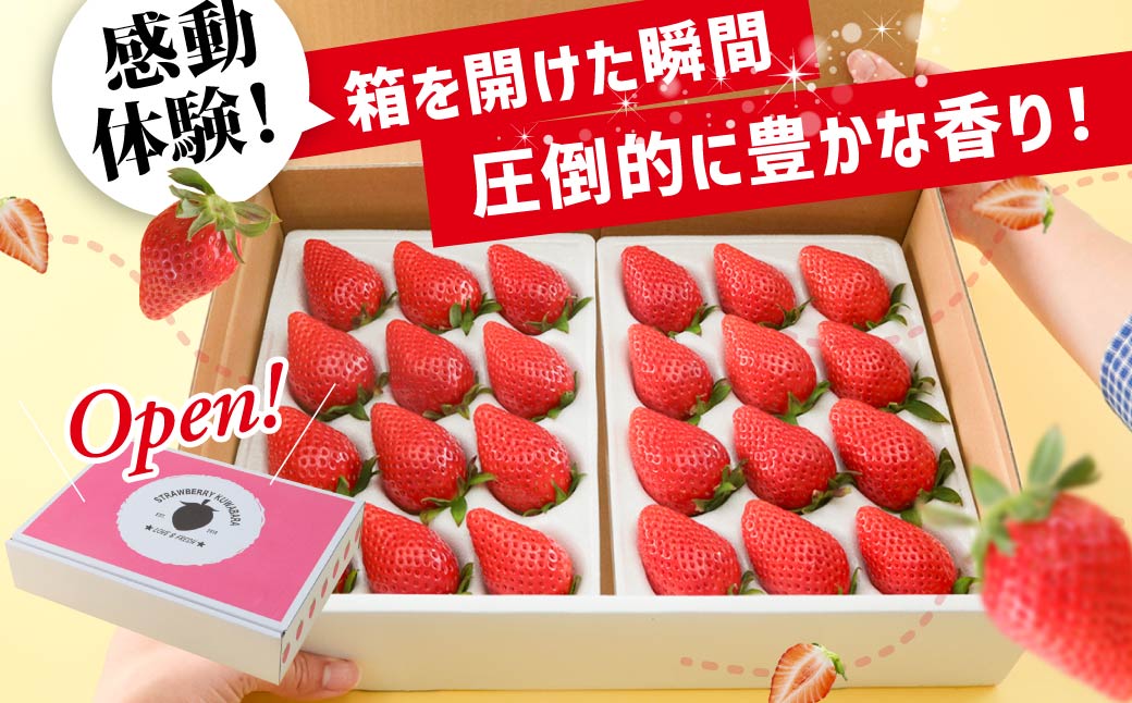 【4ヶ月定期便】いちご やよいひめ 贅沢時間 約800g 群馬県いちご品評会最高金賞受賞 2027年 先行予約 | 非日常 朝採れ やみつき高品質 たっぷり 贈答用 新鮮 完熟 いちご 旬 苺 ストロベリー 高級 産地直送 果汁 甘い あまい 人気 高評価 贈答いちご 高糖度 ごほうび プレゼント 桑原いちご園 群馬県 前橋市