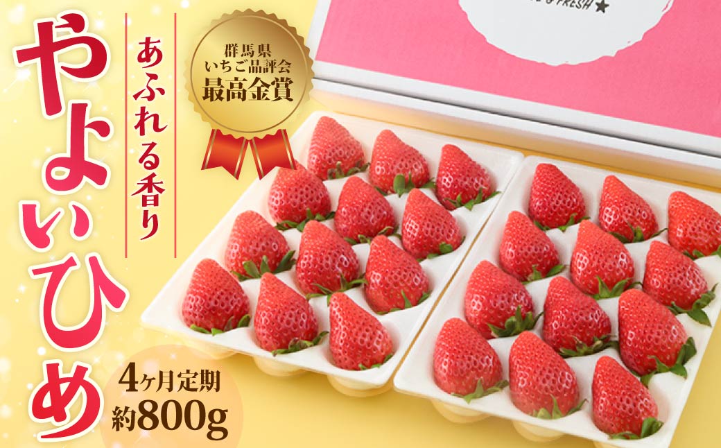 【4ヶ月定期便】いちご やよいひめ 贅沢時間 約800g 群馬県いちご品評会最高金賞受賞 2027年 先行予約 | 非日常 朝採れ やみつき高品質 たっぷり 贈答用 新鮮 完熟 いちご 旬 苺 ストロベリー 高級 産地直送 果汁 甘い あまい 人気 高評価 贈答いちご 高糖度 ごほうび プレゼント 桑原いちご園 群馬県 前橋市