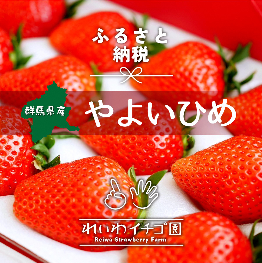 R3-13　「やよいひめ」贈答用いちご８００ｇ｜朝採れ やよいひめ たっぷり 贈答用 新鮮 特大 完熟 いちご 旬 苺 ストロベリー 高級 産地直送 果汁 甘い あまい 人気 高評価 減農薬 有機肥料 生産 生産量 産地 王国 高糖度 エコファーマー ごほうび プレゼント 群馬県 前橋市 