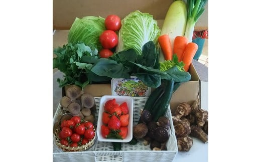 襍、蝓主漉鮗薙〒閧イ縺」縺溷ュ」遽縺ョ驥手除 | 驥手除繧サ繝繝 譁ー魄ョ 譌ャ驥手除 譛昴←繧 霎イ螳カ逶エ騾 譌ャ 驥手除 魄ョ蠎ヲ 襍、蝓主アア鮗 鄒、鬥ャ驥手除 蝗ス逕」驥手除 隧ー繧∝粋繧上○ 驥手除隧ー蜷医○ 縺翫∪縺九○驥手除 驥手除萓ソ 縺雁叙繧雁ッ縺 逕」逶エ驥手除 鄒、鬥ャ逵 蜑肴ゥ句ク