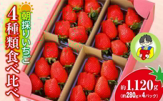 【2026年 先行予約】いちご 4種類食べ比べ 約280g×4パック 1120g｜コク 甘み 朝採れ やよいひめ ななか 恋みのり あまおとめ あすかルビー 贈答用 新鮮 完熟 いちご 旬 苺 ストロベリー 産地直送 果汁 甘い あまい 人気 高評価 減農薬 美容 健康 旨味 高糖度 ごほうび 群馬県 前橋市