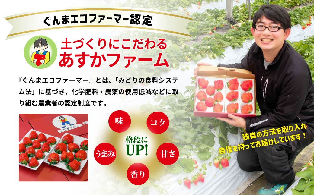いちご 2種食べ比べ 大容量パック 約500g×2パック 1kg | コク 甘み 朝採れ イチゴ 苺 高品質 たっぷり 新鮮 完熟 旬 ストロベリー 高級 産地直送 果汁 甘い あまい 人気 高評価 高糖度 ごほうび プレゼント 朝採れ やよいひめ ななか 恋みのり あまおとめ あすかルビー 贈答用 あすかファーム 群馬県 前橋市