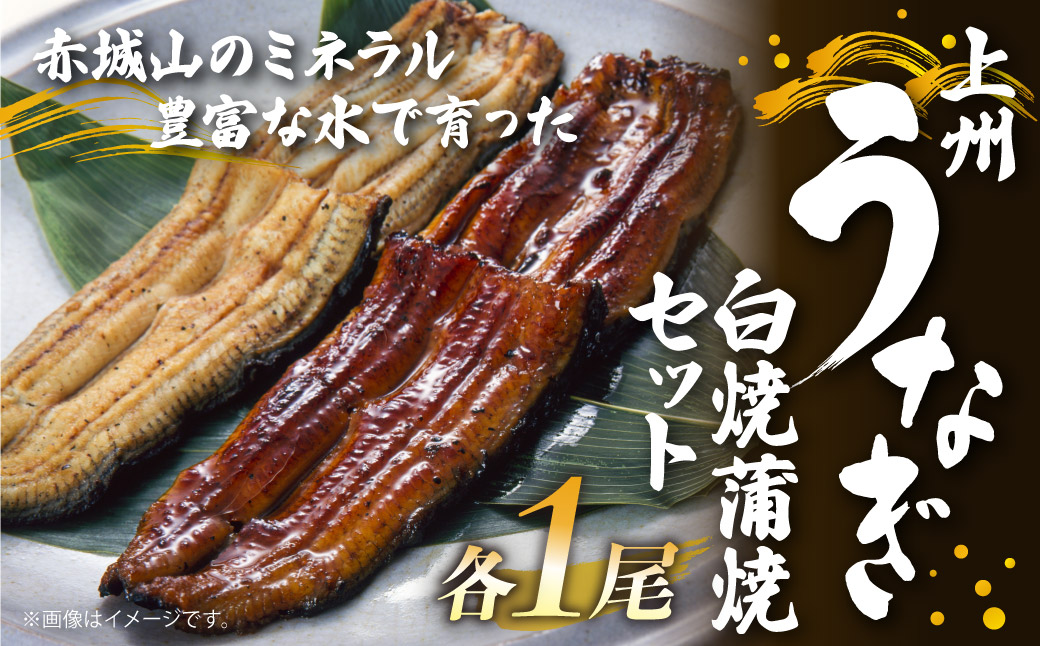 上州うなぎ白焼・蒲焼セット　各1尾（1尾150g以上）｜鰻 国産うなぎ蒲焼き うな重 ひつまぶし ウナギ 蒲焼 人気 おすすめ 贈答 化粧箱入り 簡単調理 丑の日 ご褒美 記念日 群馬県 前橋市