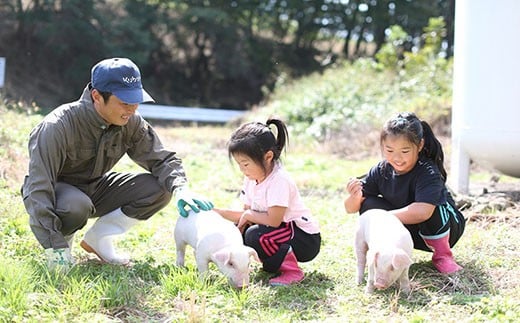 ç¡æ·»å ã«ãã ãã ãããšããŠã€ã³ã㌠ããŒã³ã³ã»ãã èš540g ïœå·å å°åã ç¡æ·»å å®å
š å®å¿ ãŠã€ã³ã㌠ããŒã³ã³ ç®ãªã åã©ã ç²æœã é£ã¹æ¯ã¹ ã»ãã åå
è£
ã¢ãŠãã㢠ãã£ã³ã èŽç BBQ çŒè åã©ã ãæ³æ® ã€ãŸã¿ ããŒãã£ãŒ