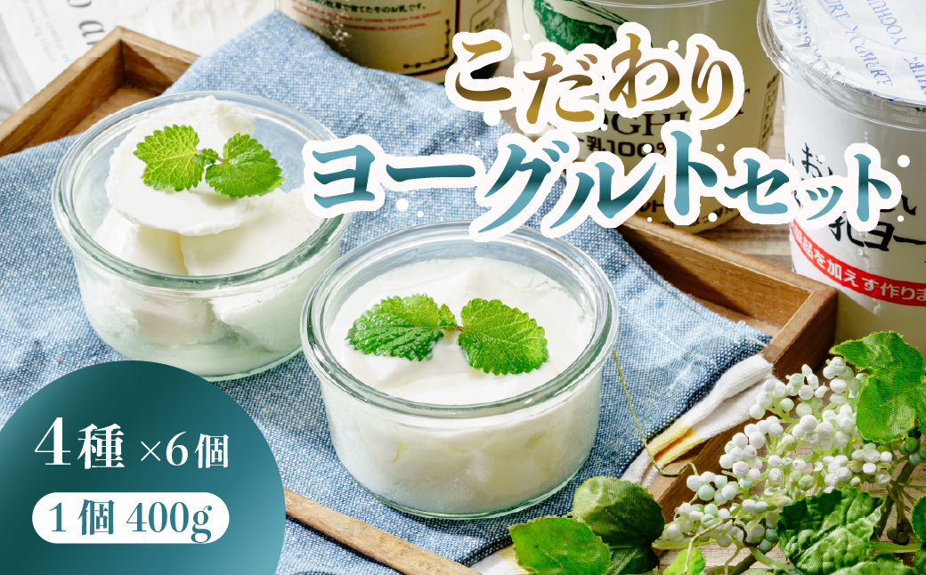 こだわりヨーグルトセット 400g×6個 2,400g｜乳製品 ヨーグルト 牛 牛乳 低脂肪 酵母 ジャージー牛 有機牧草 プレーン フルーツ 詰め合わせ スイーツ お取り寄せ お菓子 ギフト 贈答 贈り物 乳酸 低糖 低カロリー 群馬県 前橋市