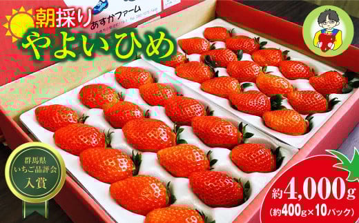 【2026年 先行予約】やよいひめ 400g × 10パック 4kg｜コク 甘み 朝採れ やよいひめ 大粒 甘み 酸味 バランス 贈答用 新鮮 完熟 いちご 旬 苺 ストロベリー 産地直送 果汁 甘い あまい 人気 高評価 減農薬 美容 健康 旨味 高糖度 ごほうび 群馬県 前橋市